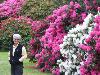 Rhodos in bloom