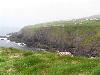 Dingle Cliffs